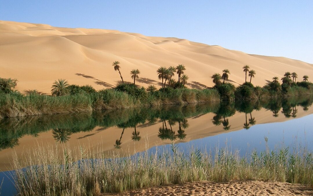 Discovering the Most Popular Libyan Foods: A Mouth-Watering Journey